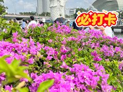 -鱼尾狮公园