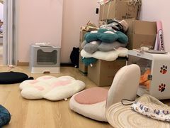 -猫咪派对(江南西店)