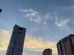 -木塔寺遗址生态公园