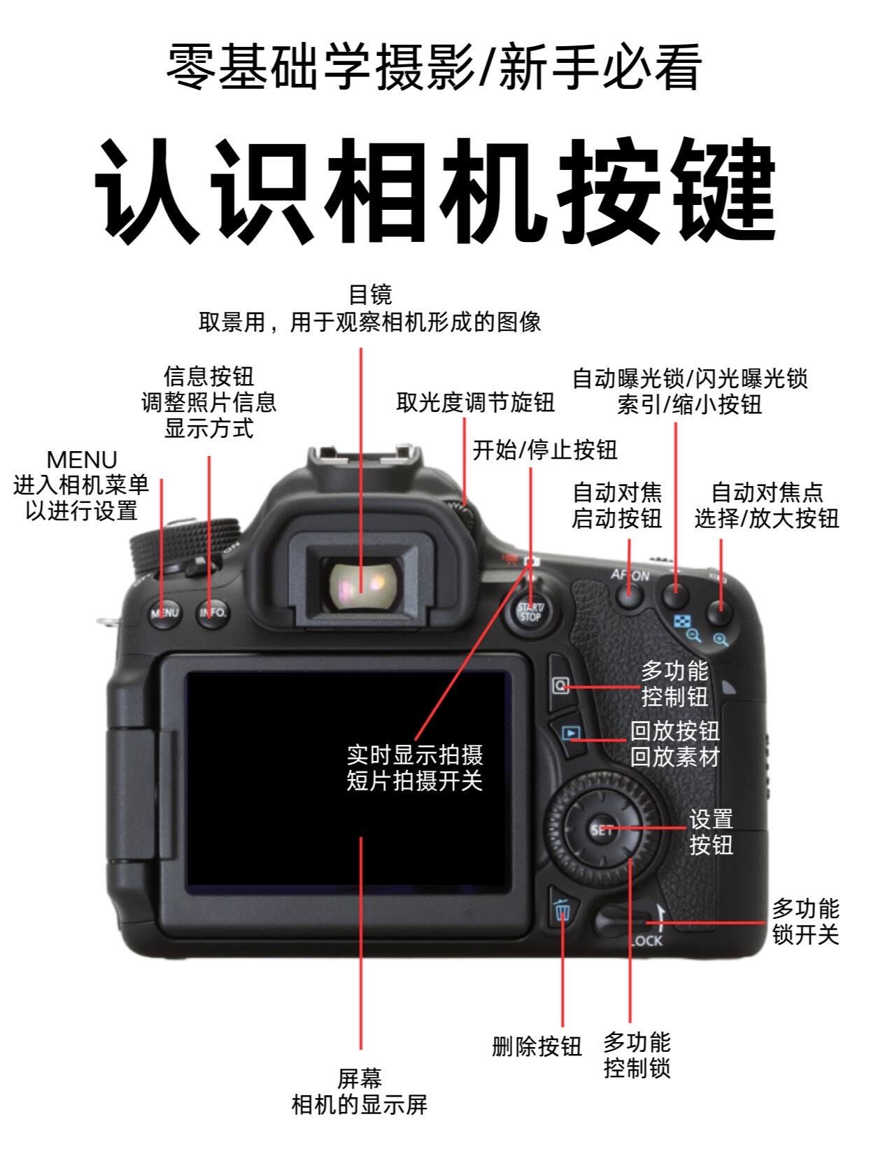 摄影教程自动拍摄，技巧大全