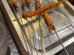 -福苗小骆驼烧烤(大唐不夜城店)