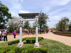 -庾园