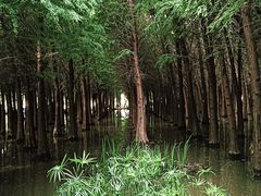 -捞渔河湿地公园
