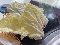 大白菜-姥家大锅台水库渔家