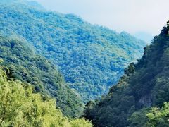 -牛背梁国家森林公园