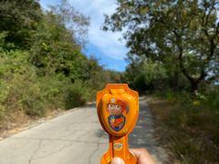 -北京西山国家森林公园