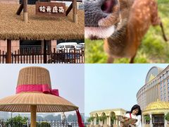 -唐山河头老街国丰维景度假大酒店