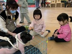 -123育儿园(百子湾校区)
