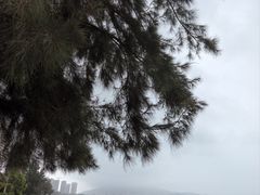 -双月湾