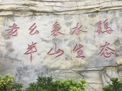 -老幺泉水鸡