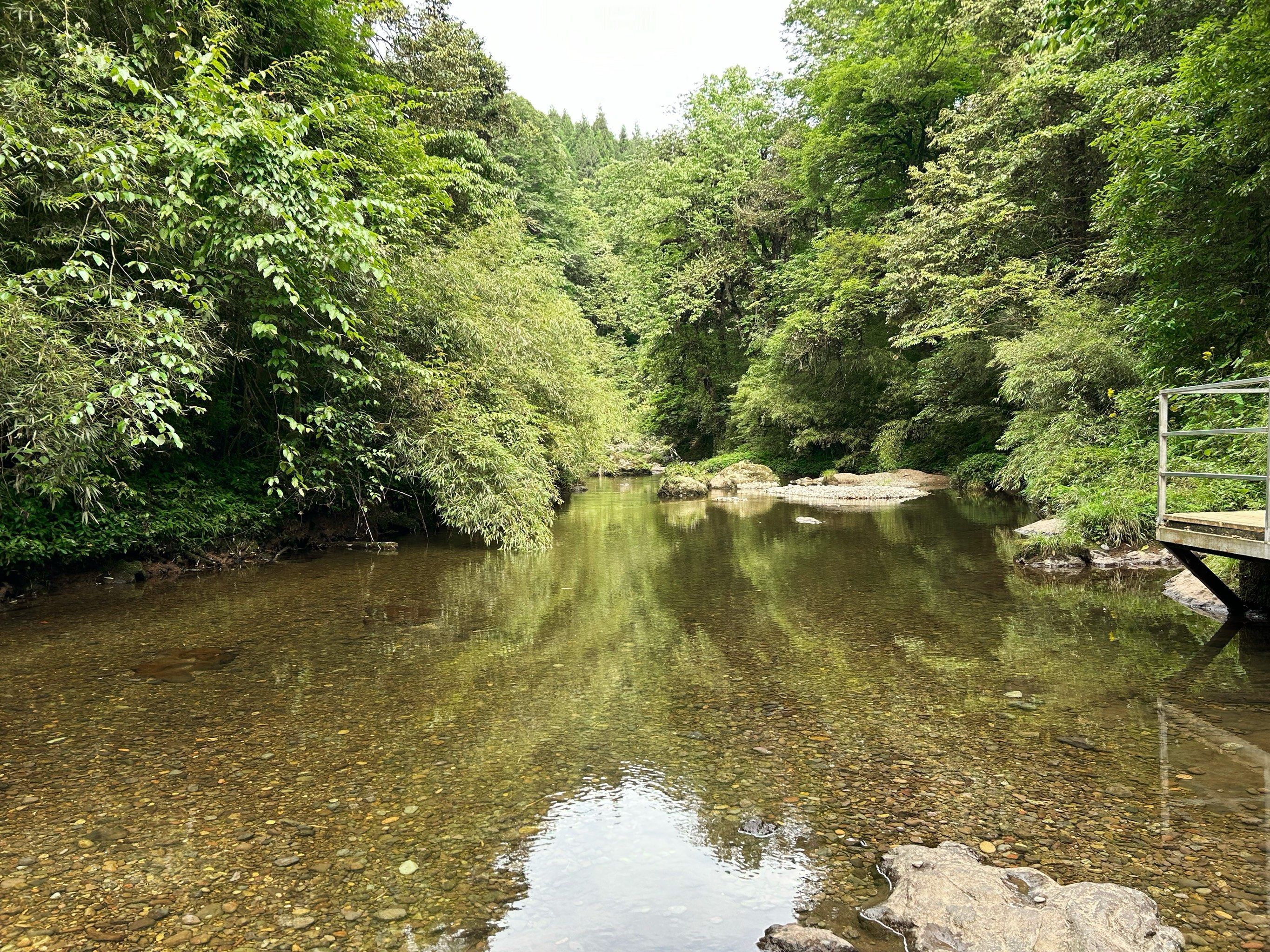 龙苍沟森林公园