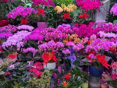 -三旗百汇商品城