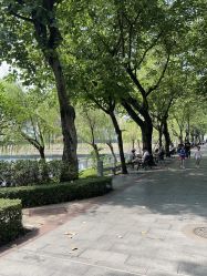 -小鲤鱼寻宝记·AR亲子户外剧本闯关(广州东山湖公园店)