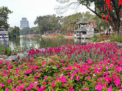 -荔湾湖公园