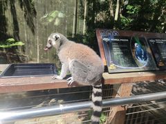 -可伦宾野生动物保护区