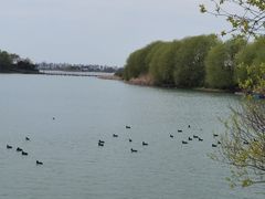 -贡湖湾湿地公园