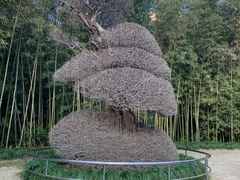 -苏州河梦清园环保主题公园