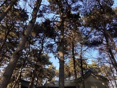 -沈阳辉山风景区