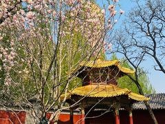 -护国法轮寺