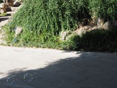 -莲湖公园