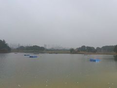 -银涛高尔夫练习场(徐泾店)