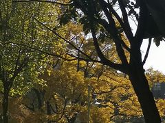 -云南师范大学(一二一西南联大校区)