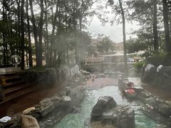 -金方森林温泉