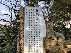 -叶家花园