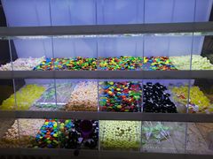 糖果-美盛喜来登大酒店-盛宴标帜餐厅