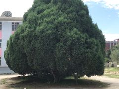 -兰州大学(榆中校区)