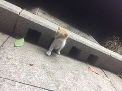 -上海中医药大学-食堂