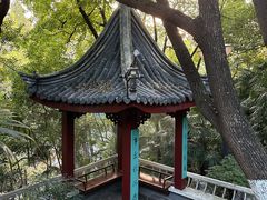 -北极阁公园