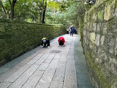 -普陀山慧济禅寺