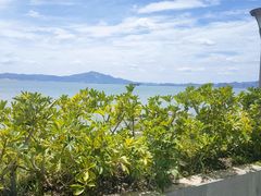 -佳丽海鲜大酒楼(环岛海景店)