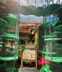 -恐龙探索乐园(磁器口店)