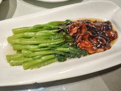 香菇菜心-巴依老爷新疆美食(清华东门店)