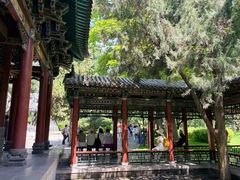 -晋祠公园