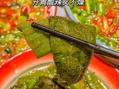 -黑蚂蚁(南河店)