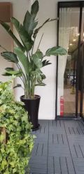 -Garden花園造型