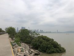 -福田红树林生态公园