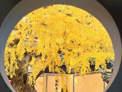 -无锡惠山寺