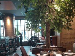 -同仁四季椰子鸡(无锡滨湖万象汇店)