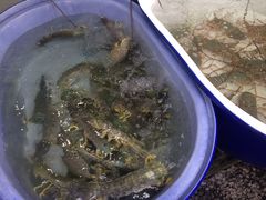 -拉威海鲜市场