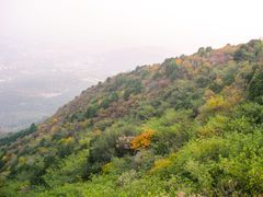 -北京西山国家森林公园