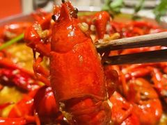 -辣皇朝小龙虾(六一店)