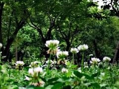 -蜀冈西峰生态公园