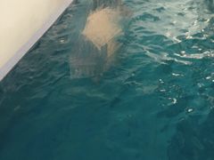 波塞冬SPA/帝王SPA-帝王SPA