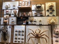 -鲁C·尚小炉·淄博烧烤(市北店)