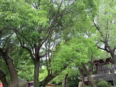 -韩湘水博园