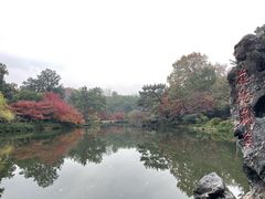 -西湖外事游船(花港观鱼码头)